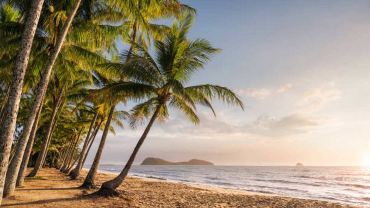 FlexFlight Cairns Office in Australia
