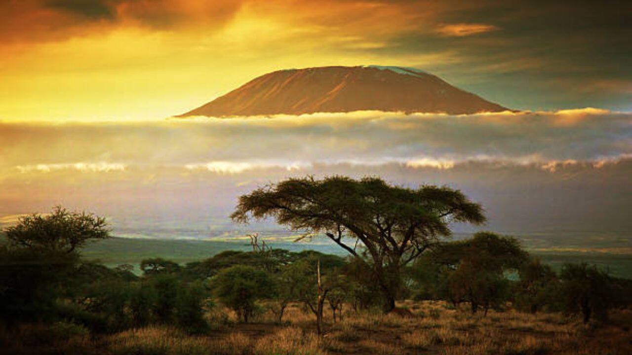 Discover Airlines Kilimanjaro Office