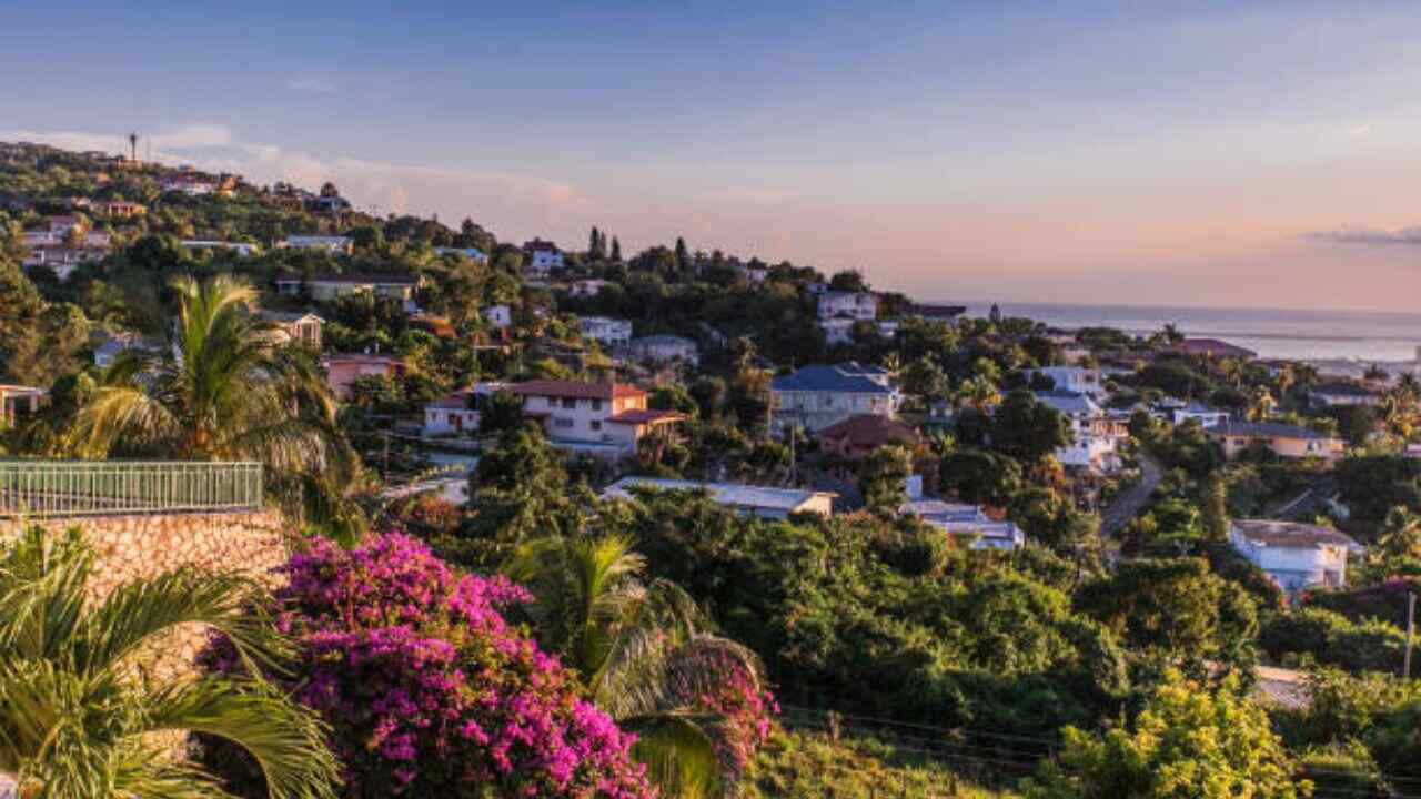 FlexFlight Kingston Office in Jamaica