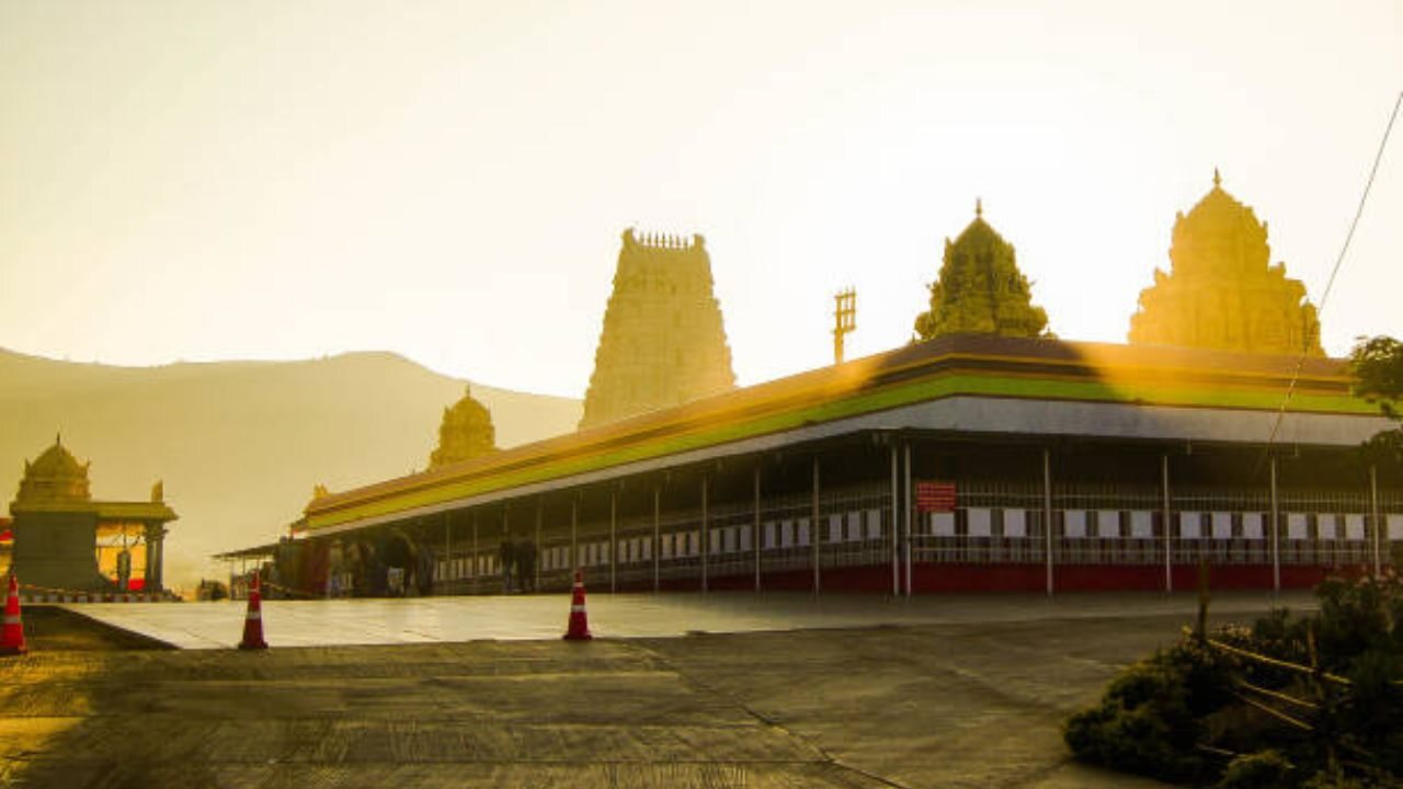 Spicejet Airline Tirupati Office in India